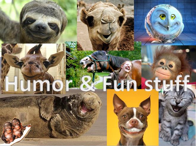 Humor & Fun stuff