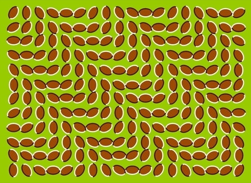 Illusions3