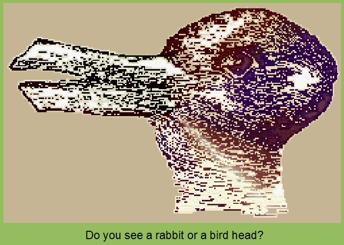 Rabbit or bird