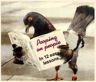 Books on every subject