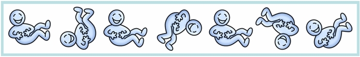 Laughing1 Laughing1