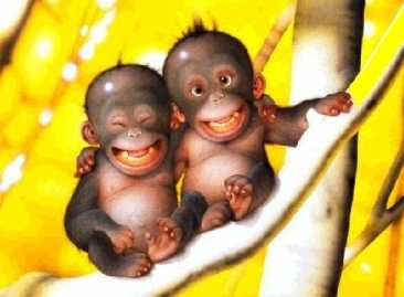 Monkeys