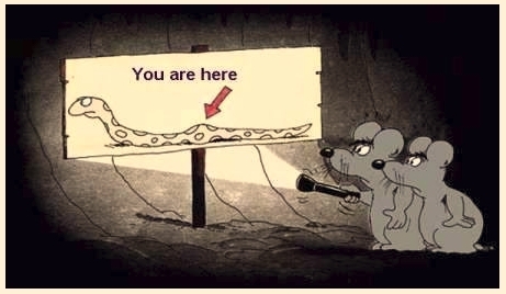 You are here